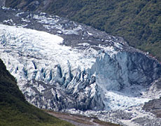 Fox Glacier is one of the world's climate change indicators. Photo / Supplied Fox Glacier is one of the world's climate change indicators. Photo / Supplied
