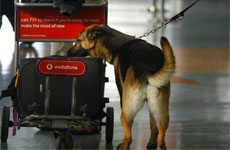 The money that would be required to upgrade domestic travel security is not in proportion to its need. Photo / Glenn Jeffrey The money that would be required to upgrade domestic travel security is not in proportion to its need. Photo / Glenn Jeffrey