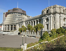 Not one MP in Parliament disclosed their expenses. Photo / Mark Mitchell Not one MP in Parliament disclosed their expenses. Photo / Mark Mitchell
