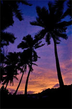 A cruise is a great way to experience colourful Rarotonga. Photo / Richard Robinson A cruise is a great way to experience colourful Rarotonga. Photo / Richard Robinson