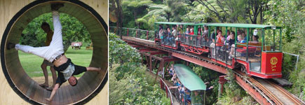 The Waterworks, just out of the main town, is a fun day out in Coromandel for all the family. Photos / Sarah Lang The Waterworks, just out of the main town, is a fun day out in Coromandel for all the family. Photos / Sarah Lang