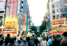 Tokyo's omnipresent neon signs and giant screens make visitors feel as if they're living inside a computer game. Photo / Lincoln Tan Tokyo's omnipresent neon signs and giant screens make visitors feel as if they're living inside a computer game. Photo / Lincoln Tan