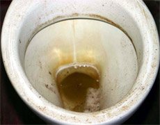 From filthy toilets to tourist traps, the worst travel experiences are being exposed on new website titanicawards.com. Photo / Bay of Plenty Times From filthy toilets to tourist traps, the worst travel experiences are being exposed on new website titanicawards.com. Photo / Bay of Plenty Times