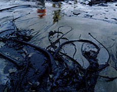 Amnesty International claims Shell has been covering up oil spills caused by its own equipment and blaming them on sabotage. Amnesty International claims Shell has been covering up oil spills caused by its own equipment and blaming them on sabotage.