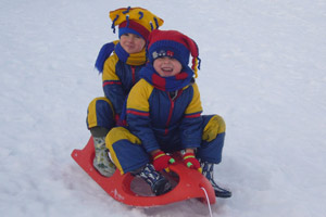 The boys give the toboggan a whirl. Photo / Jim Eagles
