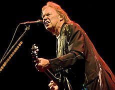 Rock legend Neil Young plays to the fans at the Big Day Out concert in Auckland's Mt Smart Stadium. Photo / Richard Robinson Rock legend Neil Young plays to the fans at the Big Day Out concert in Auckland's Mt Smart Stadium. Photo / Richard Robinson