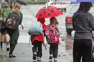 The draft study found that children aged 12 and under cost less than teens. Photo / Hawke's Bay Today