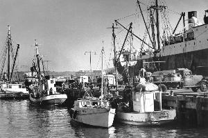 Fishing has now become uneconomical for locals. Photo / Weekly News