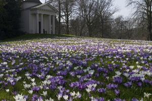 Kew Gardens spreads over 132 hectares on Thames floodplains in southwest London. Photo / Supplied