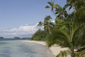 Enjoy a slower pace of life in Tonga. Photo / Supplied