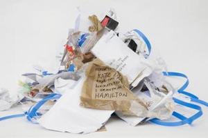'Collateral’ by Dane Mitchell, winner of the Trust Waikato National Contemporary Art Award 2009.