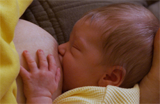 Breast feeding in the workplace is becoming commonplace in the US, where mothers are being encouraged back to work just weeks after giving birth. Photo / Bay of Plenty Times Breast feeding in the workplace is becoming commonplace in the US, where mothers are being encouraged back to work just weeks after giving birth. Photo / Bay of Plenty Times