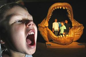 Joel Ashwell, 4 (front), and Bella Kingi, 11, Stephen Kingi, 8 and Joel Kingi, 8, get different views of the Megalodon. Photo / Steven McNicholl