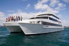 The overnight ship Ipipiri, named by Bay of Islands hapu, coasts along at 12 knots and is designed for minimum movement. Photo / Supplied The overnight ship Ipipiri, named by Bay of Islands hapu, coasts along at 12 knots and is designed for minimum movement. Photo / Supplied