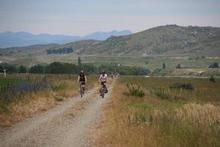 Central Otago Rail Trail. Photo / Supplied Central Otago Rail Trail. Photo / Supplied