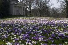 Kew Gardens spreads over 132 hectares on Thames floodplains in southwest London. Photo / Supplied Kew Gardens spreads over 132 hectares on Thames floodplains in southwest London. Photo / Supplied