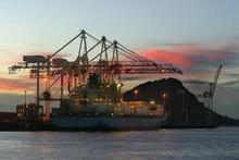 NZL Group believes it has the right to re-establish terminal operations at Sulphur Point. Photo / Bay of Plenty Times NZL Group believes it has the right to re-establish terminal operations at Sulphur Point. Photo / Bay of Plenty Times