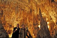 Tourism Holdings, which owns the Waitomo Caves attraction, said the company remained financially stable. Photo / Supplied Tourism Holdings, which owns the Waitomo Caves attraction, said the company remained financially stable. Photo / Supplied