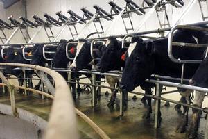 Economists say farmers have had to pare budgets to the bone and will be unlikely to rush back into spending. Photo / Sarah Ivey