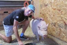 Realist: Marc Bekoff says people are always going to raise animals and keep pets, but they must be looked after and understood. Photo / Supplied Realist: Marc Bekoff says people are always going to raise animals and keep pets, but they must be looked after and understood. Photo / Supplied