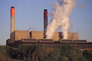 New Zealand's greenhouse gas emissions are currently 22 per cent higher than 1990 levels. Photo / Greg Bowker