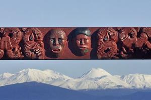 The Government wants international rules on "offsetting" changed to allow more flexible use of land. Photo / Alan Gibson