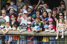 Crowd at Auckland Zoo. Photo / Kenny Rodger Crowd at Auckland Zoo. Photo / Kenny Rodger