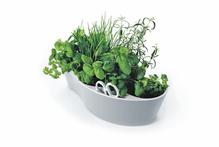 Herb Garden from Simon James Design. Photo / Supplied Herb Garden from Simon James Design. Photo / Supplied