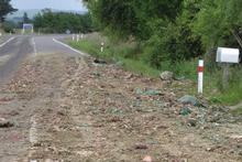 Blood, fat and discarded pieces of butchered animals were spread 15km on SH2. Photo / Dannevirke News Blood, fat and discarded pieces of butchered animals were spread 15km on SH2. Photo / Dannevirke News