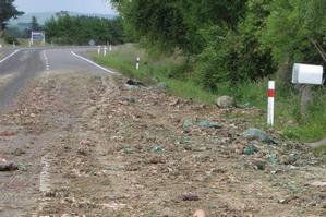 Blood, fat and discarded pieces of butchered animals were spread 15km on SH2. Photo / Dannevirke News