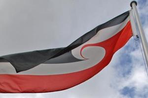 Maori leaders are divided over whether the Tino Rangatiratanga will be officially flown at Waitangi. Photo / Rotorua Daily Post