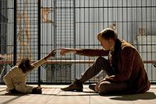 The era, the circumstances, the mood lighting - Creation is well-played by all, including lead Paul Bettany above, but is melancholy. Photo / Supplied The era, the circumstances, the mood lighting - Creation is well-played by all, including lead Paul Bettany above, but is melancholy. Photo / Supplied