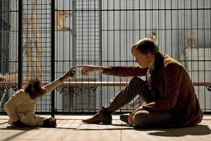 The era, the circumstances, the mood lighting - Creation is well-played by all, including lead Paul Bettany above, but is melancholy. Photo / Supplied