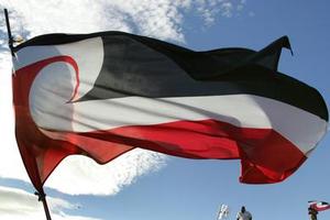 The Tino Rangatiratanga flag is hoisted on One Tree Hill on Waitangi Day, 2007. Photo / Brett Phibbs