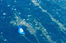 The tail section of the Airbus A320 is seen floating in the Mediterranean sea. Photo / AP The tail section of the Airbus A320 is seen floating in the Mediterranean sea. Photo / AP