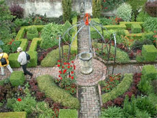 The garden at Sir Miles Warren's home at Governor's Bay, Ohinetahi. Photo / Supplied The garden at Sir Miles Warren's home at Governor's Bay, Ohinetahi. Photo / Supplied