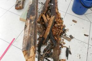 Most owners have to deal with flaws found in homes they've just bought. Photo / Bay of Plenty Times