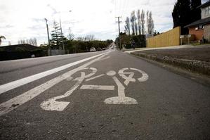 Saved: The cycle lane along Lake Rd. Photo / Dean Purcell
