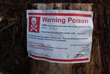 1080 is a pesticide commonly used to kill possums. Photo / Bay of Plenty Times 1080 is a pesticide commonly used to kill possums. Photo / Bay of Plenty Times