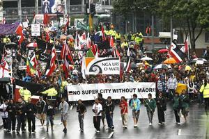 Protests over dropping Maori representation on the Auckland Council also fell on deaf ears. Photo / Steven McNicholl