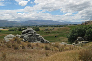 Schist outcrops on the way to Chatto Creek. Photo / Jill Worrall