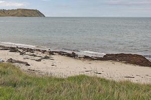 The Government has proposed a means for Maori to seek recognition of customary rights and title over the foreshore and seabed. Photo / Sarah Ivey