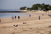 Milford Beach. Photo / Dean Purcell Milford Beach. Photo / Dean Purcell