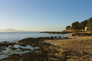 The 22km North Shore Walkway runs from Devonport in the south to Long Bay in the north. Photo / Supplied