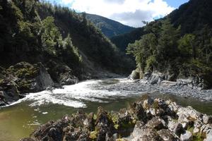 The Mokihinui River. Photo / Supplied