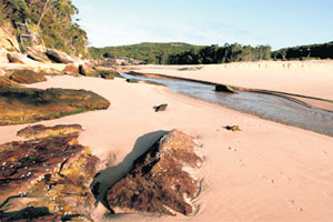 Wattamolla Beach received 22,000 people on Boxing Day and the park had to be closed. Photo / Supplied
