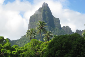 Mt Rotui, Moorea. Photo / Jill Worrall