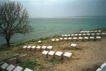 NZ and Australian graves above Anzac Cove. Photo / Hawke's Bay Today NZ and Australian graves above Anzac Cove. Photo / Hawke's Bay Today
