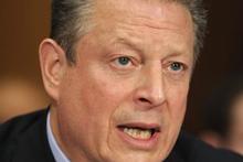 Al Gore. Photo / AP Al Gore. Photo / AP