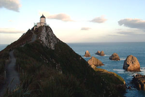 Peer down at elephant seals and sea lions at the Nugget Point lighthouse. Photo / Supplied